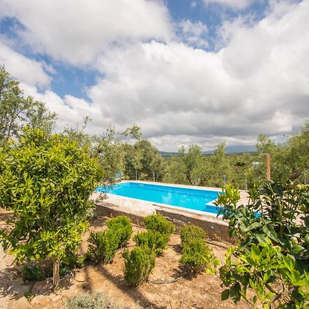 Hakuna Matata Holidays Wooden Lodge With Airco & Pool In Greek Olive Grove Methoni  Exterior foto
