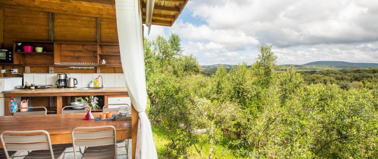Hakuna Matata Holidays Wooden Lodge With Airco & Pool In Greek Olive Grove Methoni  Exterior foto