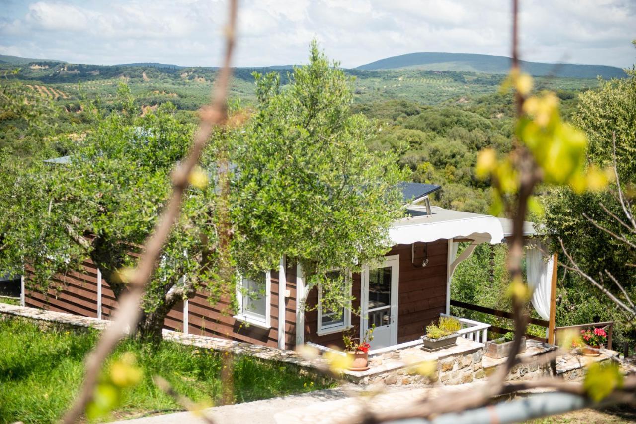 Hakuna Matata Holidays Wooden Lodge With Airco & Pool In Greek Olive Grove Methoni  Exterior foto