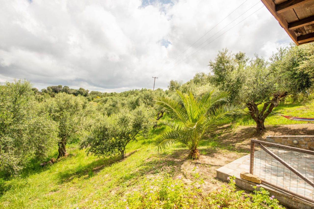 Hakuna Matata Holidays Wooden Lodge With Airco & Pool In Greek Olive Grove Methoni  Exterior foto